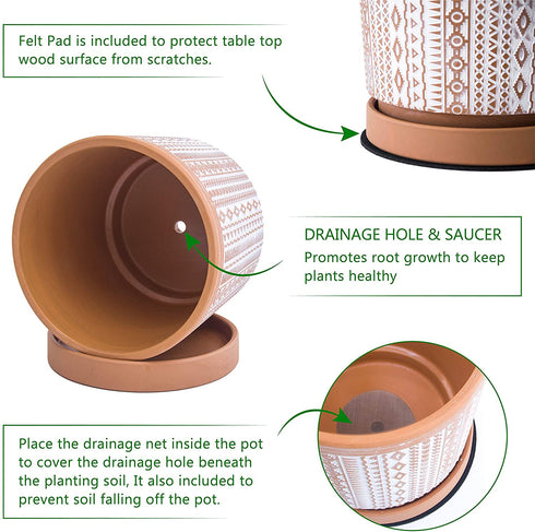Set of 2 Terracotta Pots, 4 Inch & 6 Inch, Planter Pots for Plants with Drainage Holes and Saucers, Terracotta/White, Small, 31-958-A-1