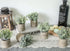 Der Rose 6pcs Small Fake Plants Artificial Potted Plants for Home Office Farmhouse Bathroom Bedroom Decor