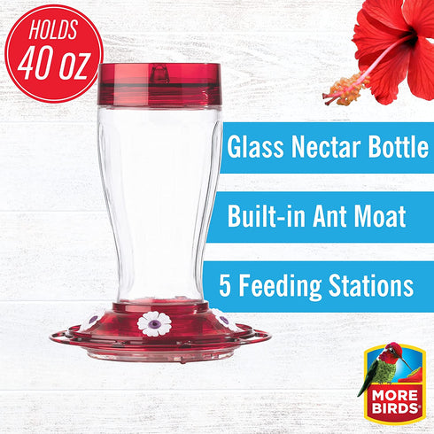 More Birds Bird Health+ Big Gulp Hummingbird Feeder, Glass Hummingbird Feeders for Outdoors, 5 Feeding Stations, 40 Ounces
