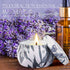 Scented Candles Aromatherapy Candles Set for Home Scented 4.4 Oz Soy Wax Jar Candles 4 Packs Portable Travel Tin Candles for Stress Relief, Home Decor, Meditation, Bath, Birthday, Christmas Gifts
