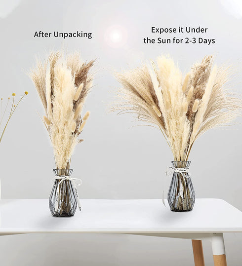 HYGQAXKO 65Pcs Natural Dried Pampas Grass Large, White Fluffy Pampas Grass, Pompass Grass Plant Decor Tall, Pampas Grass Bouquet Decor, Artificial Pompous Grass for Home, Wedding and Party Decor