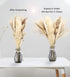 HYGQAXKO 65Pcs Natural Dried Pampas Grass Large, White Fluffy Pampas Grass, Pompass Grass Plant Decor Tall, Pampas Grass Bouquet Decor, Artificial Pompous Grass for Home, Wedding and Party Decor