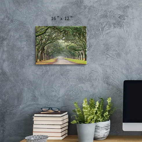 Oak Tree Canvas Wall Art: Green Landscape Artwork Forest Picture Painting Small Size for Bathroom (16'' x 12'' x 1 Panel)