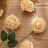 Artificial Flowers Roses 50pcs Champagne Roses Wedding Decoration Real Looking Fake Roses w/Stem for DIY Wedding Bouquets Centerpieces Arrangement Party Baby Shower Home Decoration (Champagne, 50 pcs)