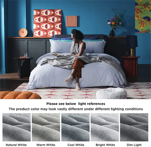 Bedsure Fleece Blanket Twin Blanket Ash Grey - 300GSM Soft Lightweight Plush Cozy Twin Blankets for Bed, Sofa, Couch, Travel, Camping, 60x80 inches