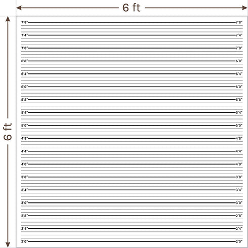 Mugshot Photo Booth Backdrop Banner - 6x6ft, Wide Enough for Everyone, Accurate Measurements for Bachelorette Party, Girls Night Out, Height Charts