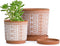 Set of 2 Terracotta Pots, 4 Inch & 6 Inch, Planter Pots for Plants with Drainage Holes and Saucers, Terracotta/White, Small, 31-958-A-1