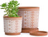 Set of 2 Terracotta Pots, 4 Inch & 6 Inch, Planter Pots for Plants with Drainage Holes and Saucers, Terracotta/White, Small, 31-958-A-1