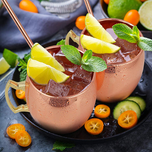 Pitmoly Moscow Mule Copper Mugs, Set of 4 Mugs, Smooth Surface Design 18 oz Copper Cups Set with 4 Cocktail Copper Straws and a Jigger