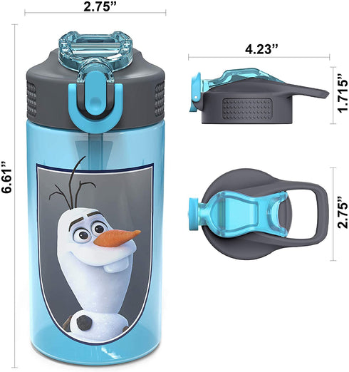 Zak Designs Disney Frozen 2 Kids Water Bottle Set with Reusable Straws and Built in Carrying Loops, Made of Durable Stainless Steel & Plastic, Leak-Proof Bottle Design (Elsa/Anna, BPA-Free, 2pc Set)