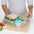Sistema To Go Collection Bento Box Plastic Lunch and Food Storage Container, 55.7 Ounce, Multi Compartment (Color May Vary)