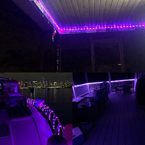 YEGUO Purple Solar Halloween Lights, 2 Pack Each 33ft 100 LED Rope Lights Outdoor Waterproof, PVC Tube Purple Fairy String Lights for Pool Balcony Tree Garden Yard Fence Party Halloween Decorations