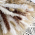 84Pcs Natural Pampas Grass, Beige Fluffy Dried Pampas Grass for Boho Home Decor, Reed Grass, Bunny Tails Dried Flowers, 17 inch Pompous Grass Bouquet for Vase Wedding Decoration and Home Arrangement