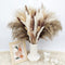 84Pcs Natural Pampas Grass, Beige Fluffy Dried Pampas Grass for Boho Home Decor, Reed Grass, Bunny Tails Dried Flowers, 17 inch Pompous Grass Bouquet for Vase Wedding Decoration and Home Arrangement
