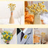 Uieke 30Pcs Natural Dried Flowers Craspedia Billy Balls Flowers Billy Buttons Floral Bouquet for Flower Arrangements Wedding Home Tall Vase Decor Yellow