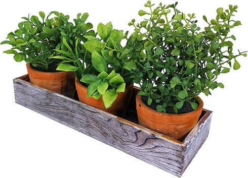 Set of 3 Mini Artificial Plants Greenery Eucalyptus Boxwood in Terracotta Pot with Wood Box Indoor Office Apartment Wedding Tabletop