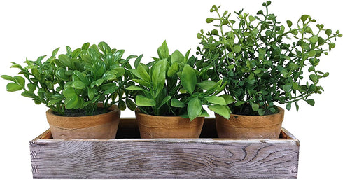 Set of 3 Mini Artificial Plants Greenery Eucalyptus Boxwood in Terracotta Pot with Wood Box Indoor Office Apartment Wedding Tabletop