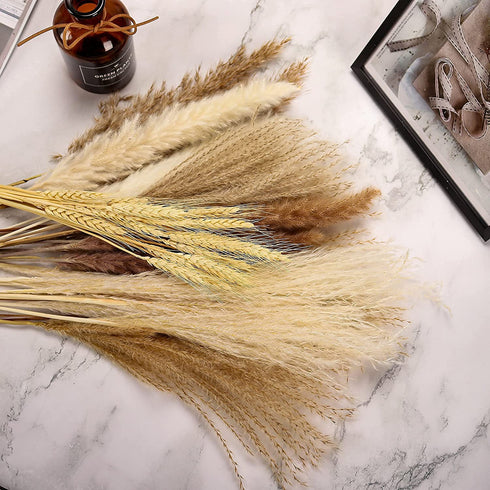 Natural Dried Pampas Grass Boho Home Decor, 65Pcs 17Inch Dried Flower Bouquet Decorative Pampas Grass for Vase Filler, Flower Arrangements, Wedding Office Decor Fluffy and Soft