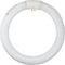 GE Lighting 33774 Cool White 8-Inch Diameter Circline Fluorescent T9 Bulb, 22-Watt