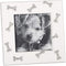 Dog Jewel Tone Bone Bright Silver Tone Finish 4.5 x 4.5 Zinc Alloy Photo Frame