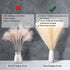Faux Pampas Grass, 18"/45cm Artificial Pampas Grass Fluffy 5 Stem pompous Grass Flower Arrangement for Boho Home Wedding Decoration(Grey)