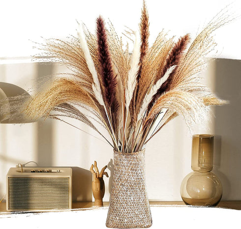 60 Pcs | 15 Pcs White Pampas & 15 Pcs Brown Pampas & 30 Pcs Reed Grass/Natural Dried Pampas Grass for Flower Arrangements Home Decor