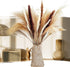 60 Pcs | 15 Pcs White Pampas & 15 Pcs Brown Pampas & 30 Pcs Reed Grass/Natural Dried Pampas Grass for Flower Arrangements Home Decor