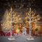 Set of 2- FastDeng Birch Tree Lighted, 2FT 36 LED Warm White Lights, Battery Powered Timing Tabletop Bonsai Tree Light for Home Bedroom Holiday Wedding Party Indoor Decoration