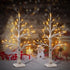 Set of 2- FastDeng Birch Tree Lighted, 2FT 36 LED Warm White Lights, Battery Powered Timing Tabletop Bonsai Tree Light for Home Bedroom Holiday Wedding Party Indoor Decoration