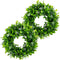 2 Pack 12" Artificial Boxwood Wreath for Front Door Faux Green Leaves Greenery Spring Wreath for Home Wall Window Wedding Party Hanging Decor (White Seeds)