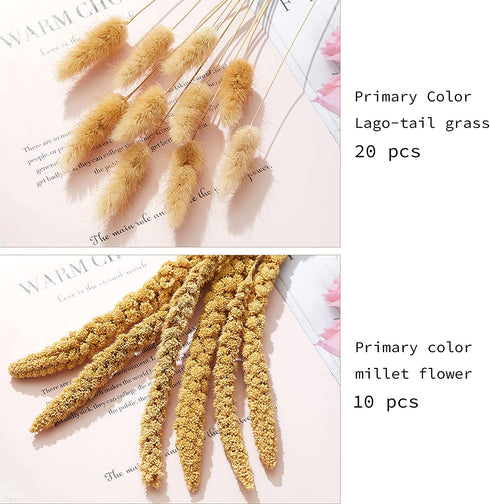 Nuzyz Natural Dried Pampas Grass Plumes 70pcs 17.5 Inch Rabbit Tail Millet Mixing Bulrush Fluffy Living Room Vase Arrangement Boho Bouquet Home Decor