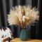 Nuzyz Natural Dried Pampas Grass Plumes 70pcs 17.5 Inch Rabbit Tail Millet Mixing Bulrush Fluffy Living Room Vase Arrangement Boho Bouquet Home Decor