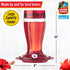 More Birds Bird Health+ Big Gulp Hummingbird Feeder, Glass Hummingbird Feeders for Outdoors, 5 Feeding Stations, 40 Ounces