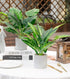 WUKOKU 2pcs Fake Plants Small Artificial Potted Plants Office Plants for Home Farmhouse Bathroom Bedroom Kitchen Desk Decor