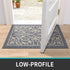 DEXI Door Mat Indoor Rugs for Entryway Floor Mats Inside Doormat Front Entrance Rug Entry Non Slip Washable,19.5"x31.5",Gray