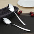 Kekow 12-Piece Stainless Steel Flatware Dinner Spoons, 8.18-INCH