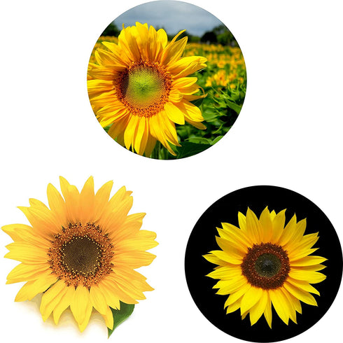 (3 Pack) Cell Phone Holder Sunflower Orange Expanding Grip Stand Finger Kickstand for Smartphone and Tablets