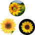 (3 Pack) Cell Phone Holder Sunflower Orange Expanding Grip Stand Finger Kickstand for Smartphone and Tablets
