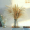 70 Pcs Natural Pampass Grass Set | 17in Boho Pampas Grass Plants-Natural Dried Pampas Grass Decor for Home Arrangements, Wedding Kitchen Yard Decor