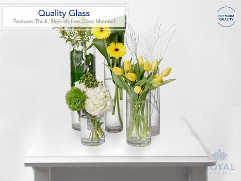 Flower Glass Vase Decorative Centerpiece for Home or Wedding by Royal Imports - Cylinder Shape, 5"x5", Clear