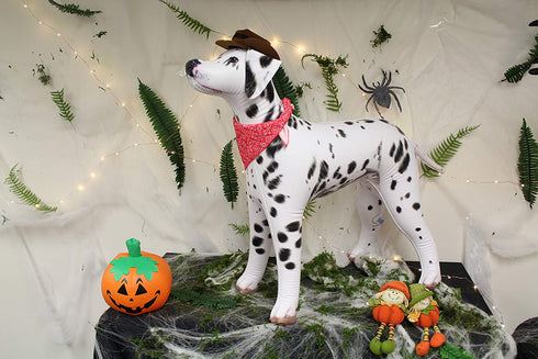 Jet Creations Inflatable Dalmatian Dog 39" Long Stuffed Animals Party Supplies An-DALM, Multicolor