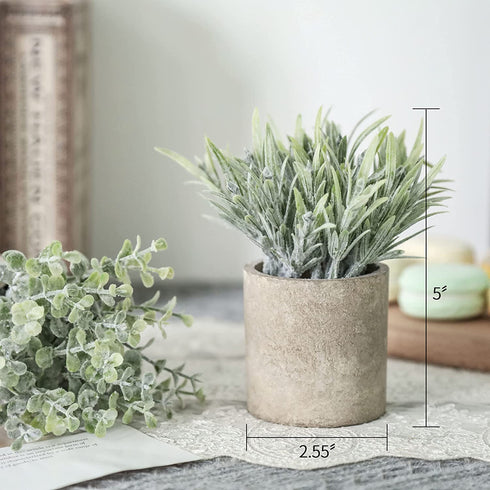 Der Rose 6pcs Small Fake Plants Artificial Potted Plants for Home Office Farmhouse Bathroom Bedroom Decor