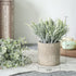Der Rose 6pcs Small Fake Plants Artificial Potted Plants for Home Office Farmhouse Bathroom Bedroom Decor