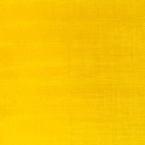 Winsor & Newton Galeria Acrylic Paint, 2 Fl Oz (Pack of 1), Cadmium Yellow Medium Hue