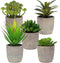 5 Artificial Succulents Plants Artificial Pot Small Fake Plants Bedroom Aesthetic Fake Succulent Plants - Cactus Decor Plants Bedroom Decor Potted Faux Succulents Desk Plant Shelf Decor Living Room
