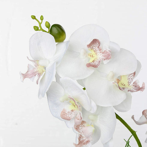 Jusdreen Artificial Flower Bonsai with Glass Vase Vivid Orchid Flowers Arrangement Phalaenopsis Flowers Pot for Home Office D©cor House Decorations(Glass Vase/White Orchid)
