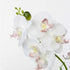 Jusdreen Artificial Flower Bonsai with Glass Vase Vivid Orchid Flowers Arrangement Phalaenopsis Flowers Pot for Home Office D©cor House Decorations(Glass Vase/White Orchid)