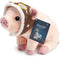 Compendium Flying Pig Plush A Cute Stuffed Animal Companion to The Book Maybe