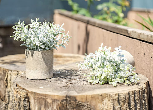 Der Rose 6pcs Small Fake Plants Artificial Potted Plants for Home Office Farmhouse Bathroom Bedroom Decor