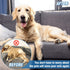 10 Pcs Slipcover Grips in Two Sizes, 5 Pcs 15.7? and 5 Pcs 7.9? Long, Durable Silicone Made, Anti-Slip Sofa Slipcover Tucks for Sofa, Armchair and Furniture's Cover Stay in Place, Great for Pet Owners